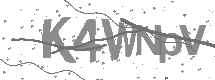 visual captcha